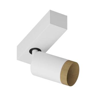 SAGITONY E S60 Wooden
